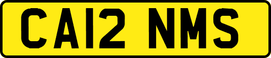 CA12NMS