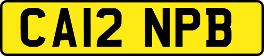 CA12NPB