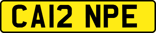 CA12NPE