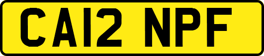 CA12NPF