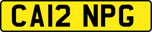 CA12NPG