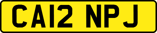 CA12NPJ