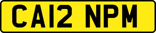 CA12NPM