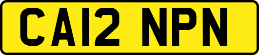 CA12NPN