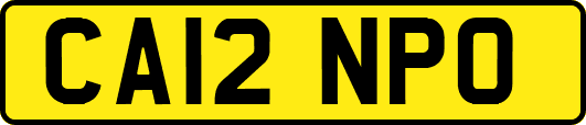 CA12NPO
