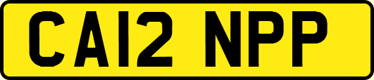 CA12NPP