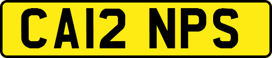 CA12NPS