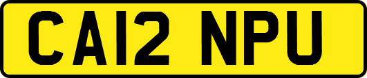 CA12NPU