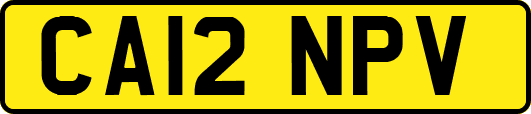 CA12NPV