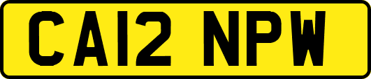 CA12NPW