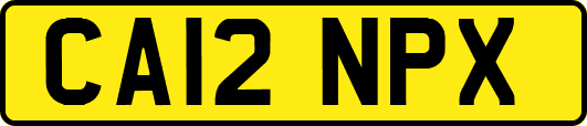CA12NPX