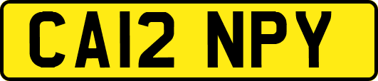 CA12NPY