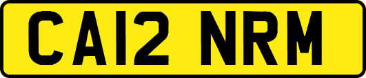 CA12NRM
