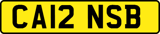 CA12NSB