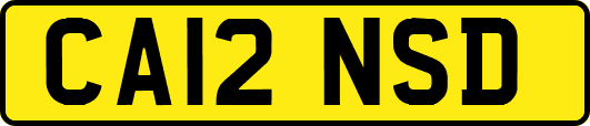 CA12NSD