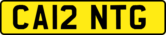 CA12NTG