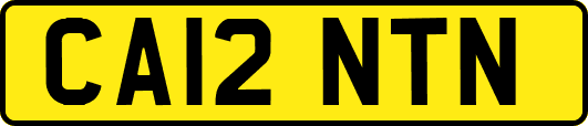 CA12NTN