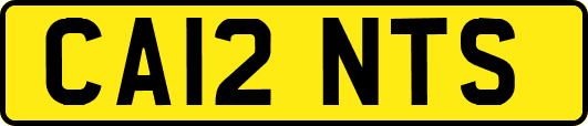 CA12NTS