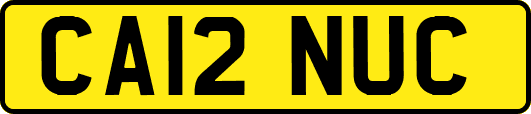 CA12NUC