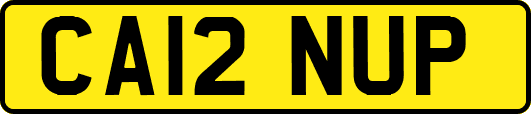 CA12NUP
