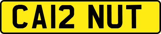 CA12NUT