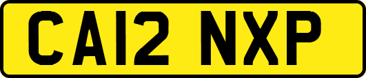 CA12NXP