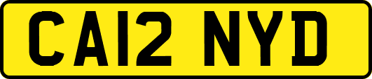 CA12NYD