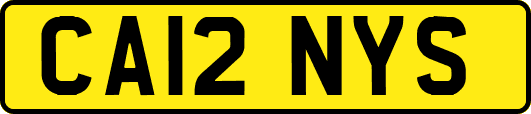 CA12NYS