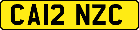 CA12NZC