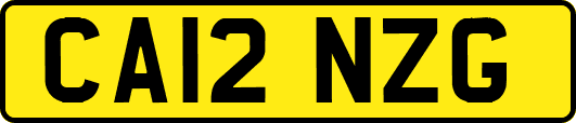 CA12NZG