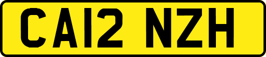 CA12NZH