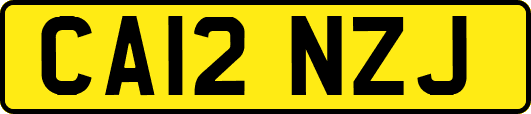 CA12NZJ