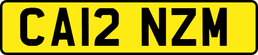 CA12NZM