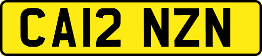 CA12NZN