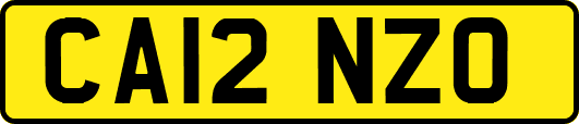 CA12NZO