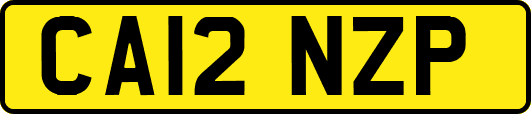 CA12NZP