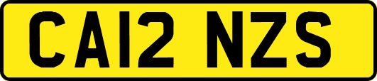 CA12NZS