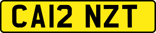 CA12NZT