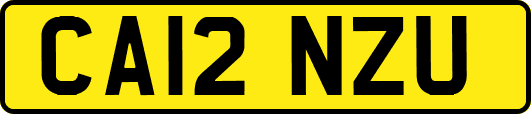 CA12NZU