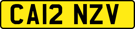 CA12NZV