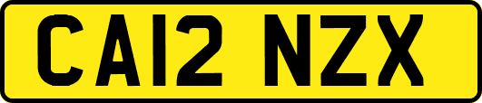 CA12NZX