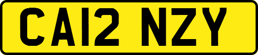 CA12NZY