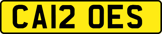 CA12OES