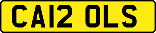 CA12OLS