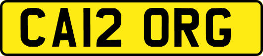 CA12ORG