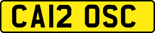 CA12OSC