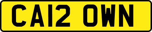 CA12OWN
