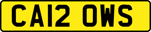 CA12OWS