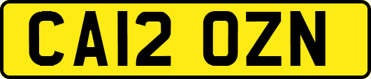 CA12OZN