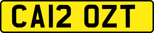 CA12OZT